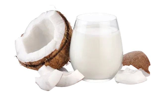 Coconut Milk