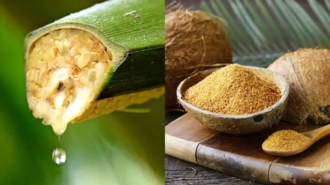 Coconut Nectar vs Coconut Sugar: Key Differences in Taste, Nutrition, Processing & Uses