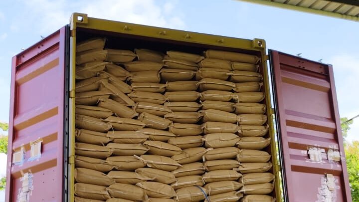 healthy sugar substitute Global Coco Sugar