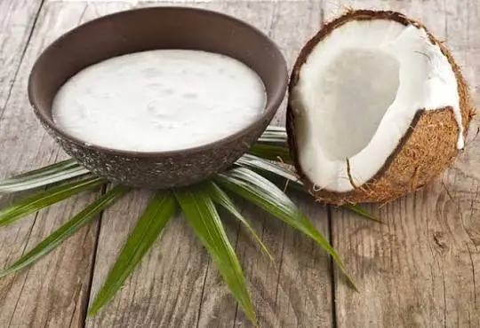 Is Coconut Milk Lactose-Free? Guide for Lactose Intolerant Diets