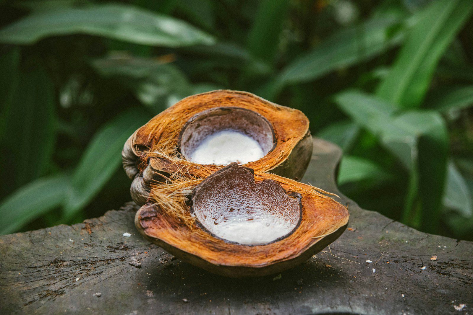 From Farm to Table: The Journey of Coconut Flakes 17 oconut flakes, farm, food, coconut