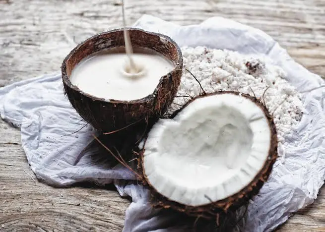 Homemade Coconut Milk