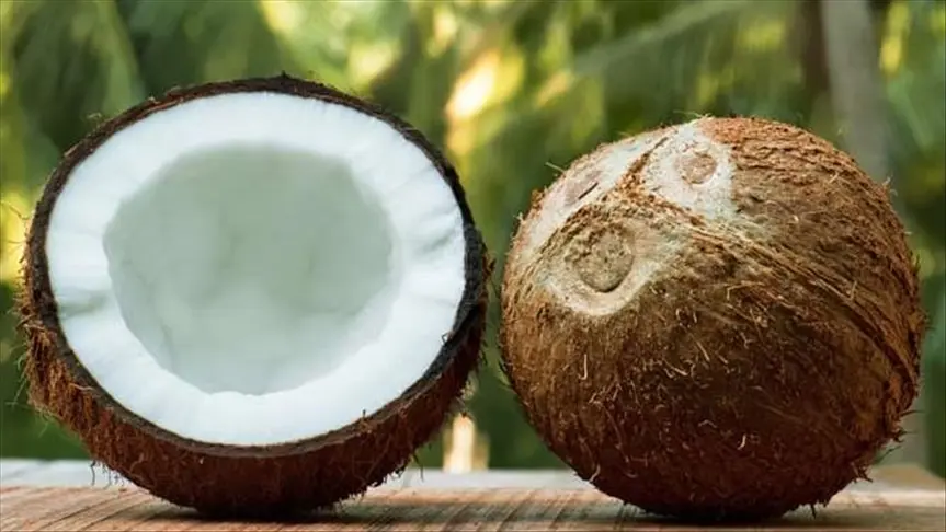 8 Environmental Benefits of Choosing Coconut Sugar 1 8 Environmental Benefits of Choosing Coconut Sugar